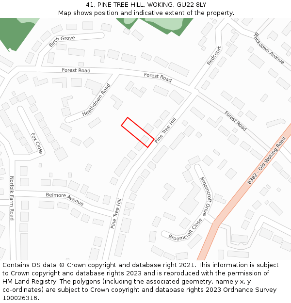 41, PINE TREE HILL, WOKING, GU22 8LY: Location map and indicative extent of plot