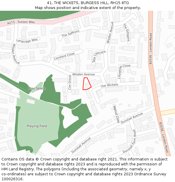 41, THE WICKETS, BURGESS HILL, RH15 8TG: Location map and indicative extent of plot