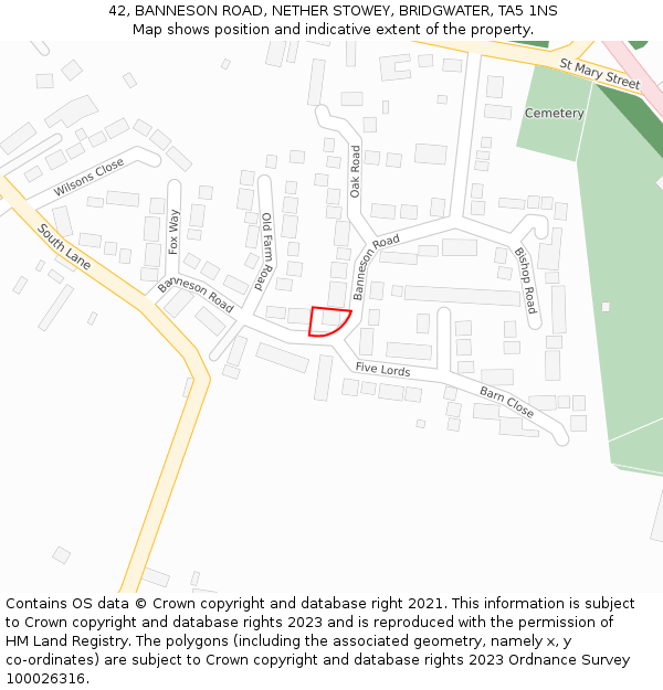 42, BANNESON ROAD, NETHER STOWEY, BRIDGWATER, TA5 1NS: Location map and indicative extent of plot