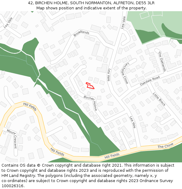 42, BIRCHEN HOLME, SOUTH NORMANTON, ALFRETON, DE55 3LR: Location map and indicative extent of plot