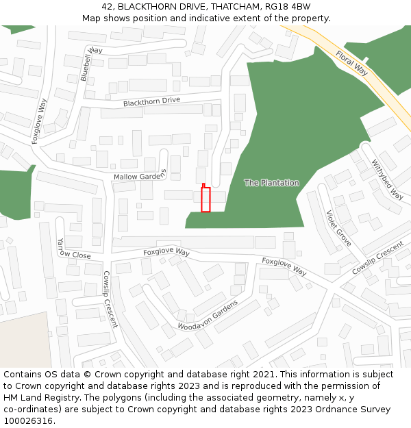 42, BLACKTHORN DRIVE, THATCHAM, RG18 4BW: Location map and indicative extent of plot