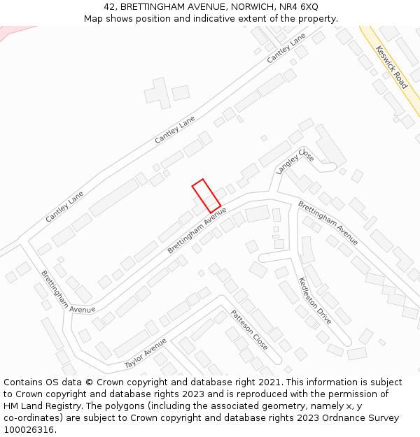 42, BRETTINGHAM AVENUE, NORWICH, NR4 6XQ: Location map and indicative extent of plot