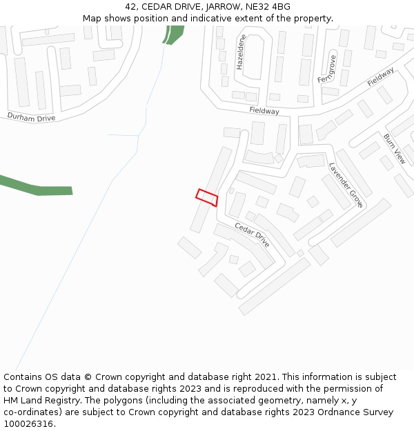 42, CEDAR DRIVE, JARROW, NE32 4BG: Location map and indicative extent of plot