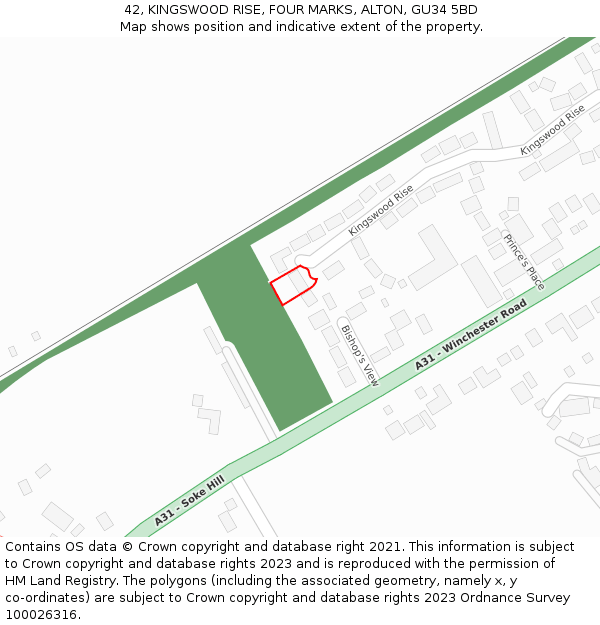 42, KINGSWOOD RISE, FOUR MARKS, ALTON, GU34 5BD: Location map and indicative extent of plot