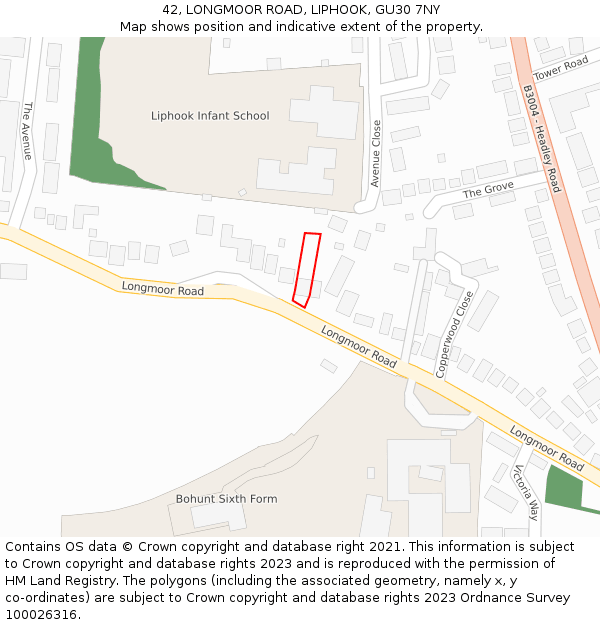 42, LONGMOOR ROAD, LIPHOOK, GU30 7NY: Location map and indicative extent of plot