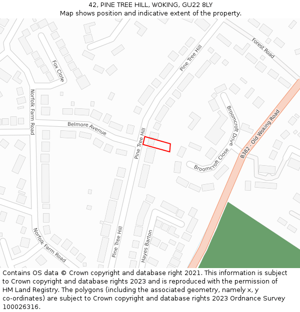 42, PINE TREE HILL, WOKING, GU22 8LY: Location map and indicative extent of plot