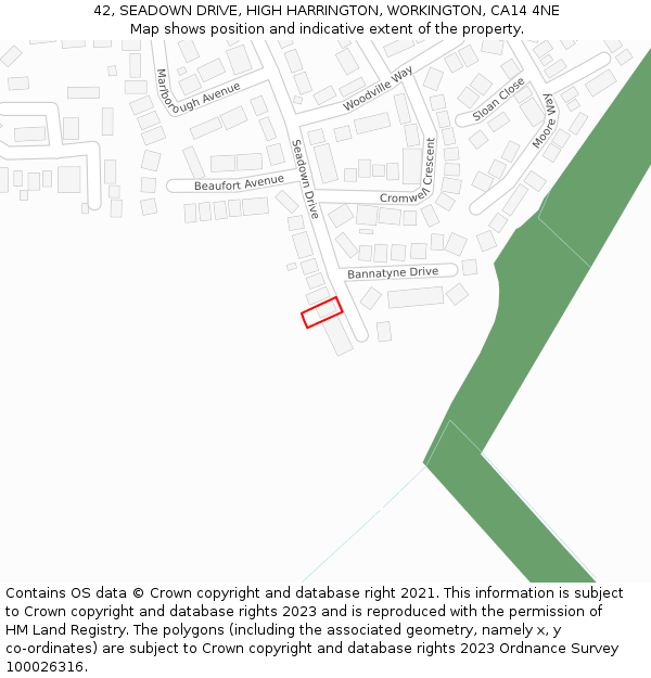 42, SEADOWN DRIVE, HIGH HARRINGTON, WORKINGTON, CA14 4NE: Location map and indicative extent of plot