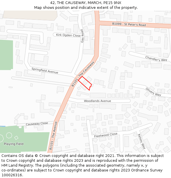 42, THE CAUSEWAY, MARCH, PE15 9NX: Location map and indicative extent of plot