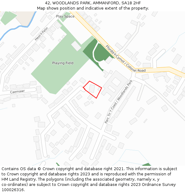42, WOODLANDS PARK, AMMANFORD, SA18 2HF: Location map and indicative extent of plot
