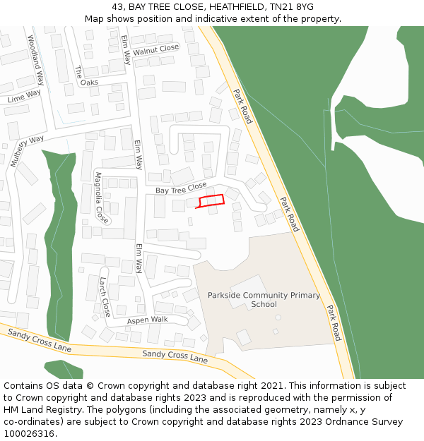 43, BAY TREE CLOSE, HEATHFIELD, TN21 8YG: Location map and indicative extent of plot