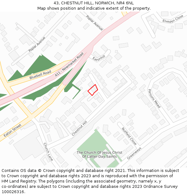 43, CHESTNUT HILL, NORWICH, NR4 6NL: Location map and indicative extent of plot