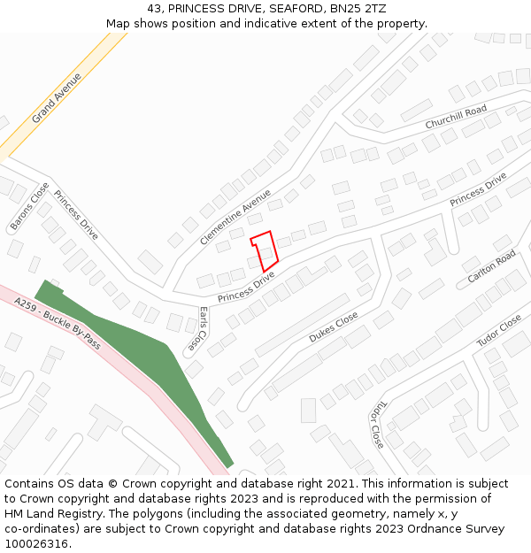 43, PRINCESS DRIVE, SEAFORD, BN25 2TZ: Location map and indicative extent of plot