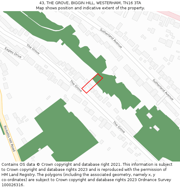 43, THE GROVE, BIGGIN HILL, WESTERHAM, TN16 3TA: Location map and indicative extent of plot