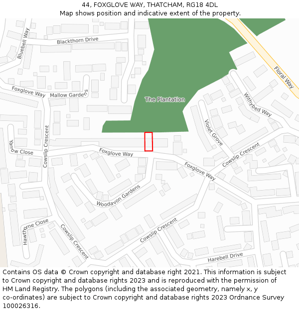 44, FOXGLOVE WAY, THATCHAM, RG18 4DL: Location map and indicative extent of plot