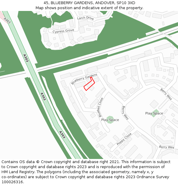 45, BLUEBERRY GARDENS, ANDOVER, SP10 3XD: Location map and indicative extent of plot