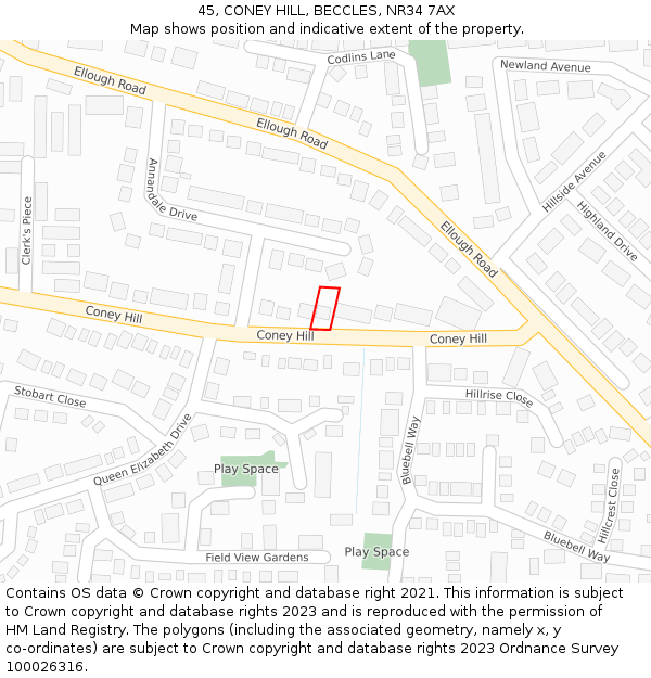 45, CONEY HILL, BECCLES, NR34 7AX: Location map and indicative extent of plot