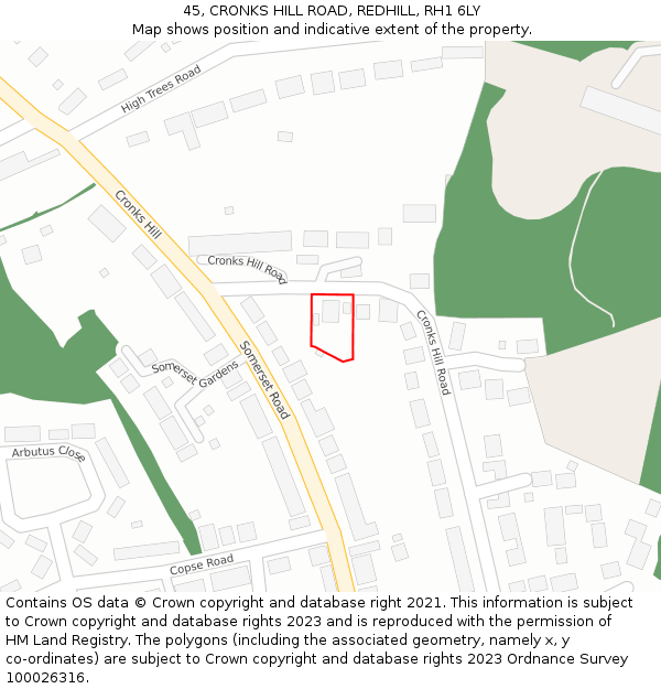45, CRONKS HILL ROAD, REDHILL, RH1 6LY: Location map and indicative extent of plot