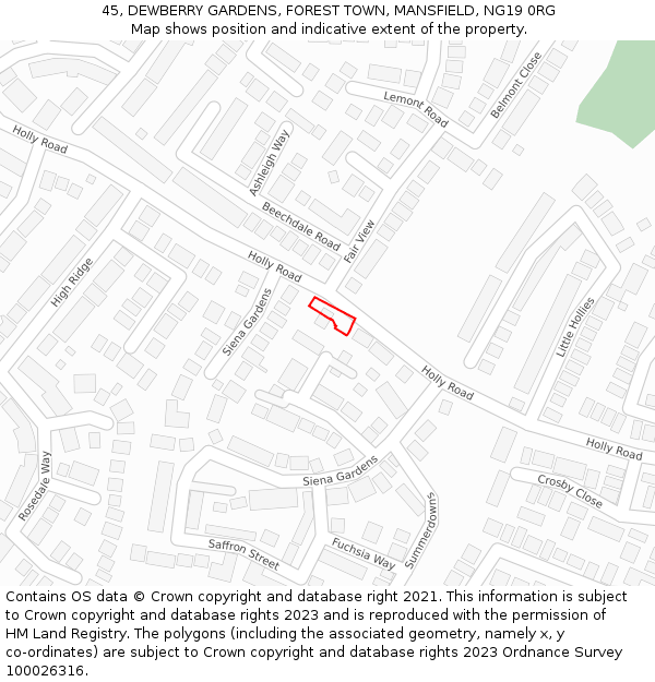 45, DEWBERRY GARDENS, FOREST TOWN, MANSFIELD, NG19 0RG: Location map and indicative extent of plot