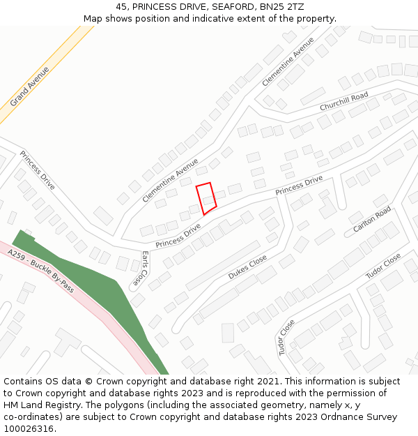 45, PRINCESS DRIVE, SEAFORD, BN25 2TZ: Location map and indicative extent of plot