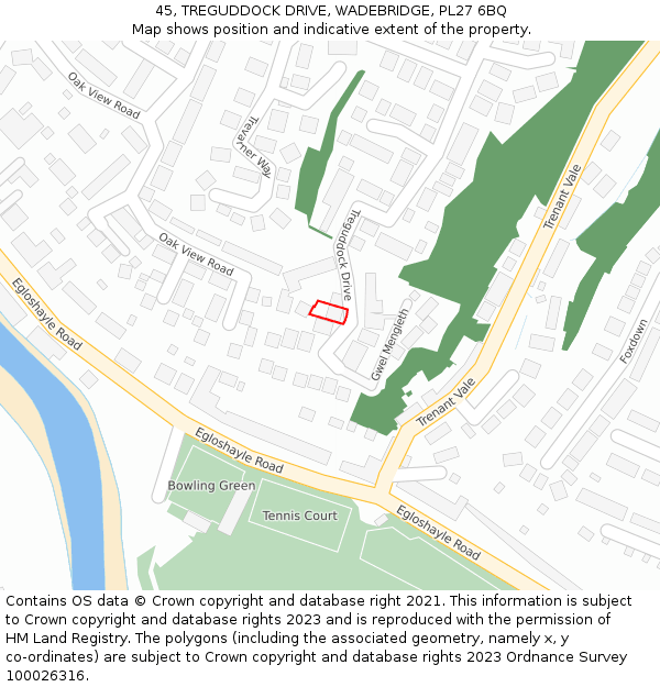 45, TREGUDDOCK DRIVE, WADEBRIDGE, PL27 6BQ: Location map and indicative extent of plot