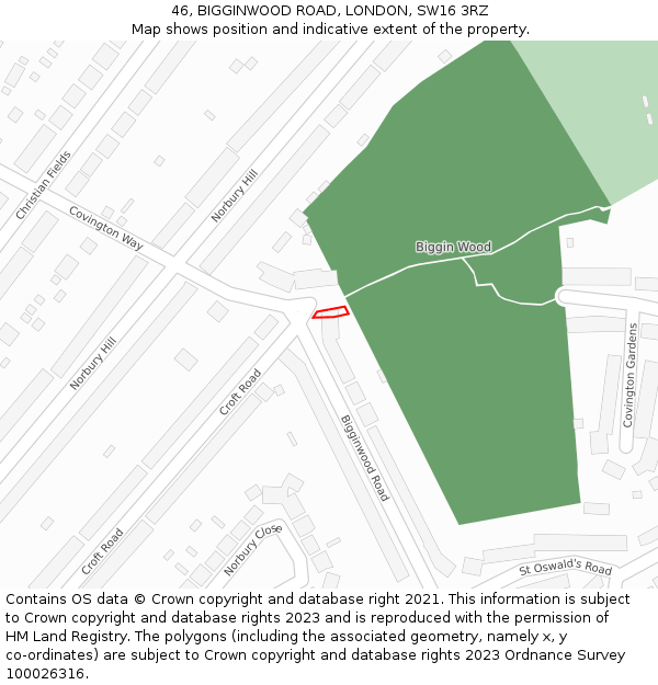 46, BIGGINWOOD ROAD, LONDON, SW16 3RZ: Location map and indicative extent of plot
