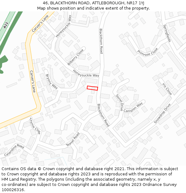 46, BLACKTHORN ROAD, ATTLEBOROUGH, NR17 1YJ: Location map and indicative extent of plot
