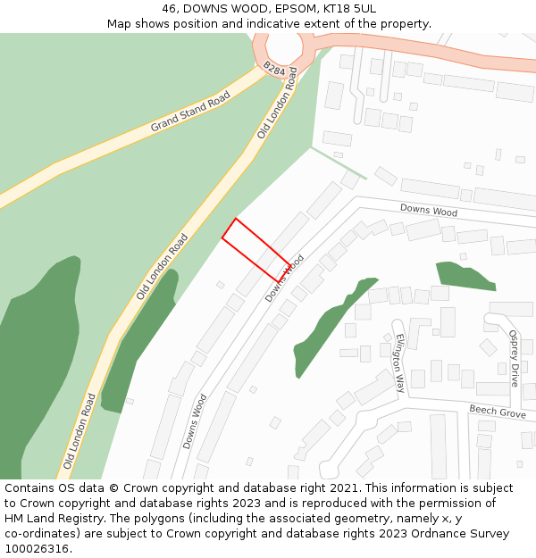 46, DOWNS WOOD, EPSOM, KT18 5UL: Location map and indicative extent of plot