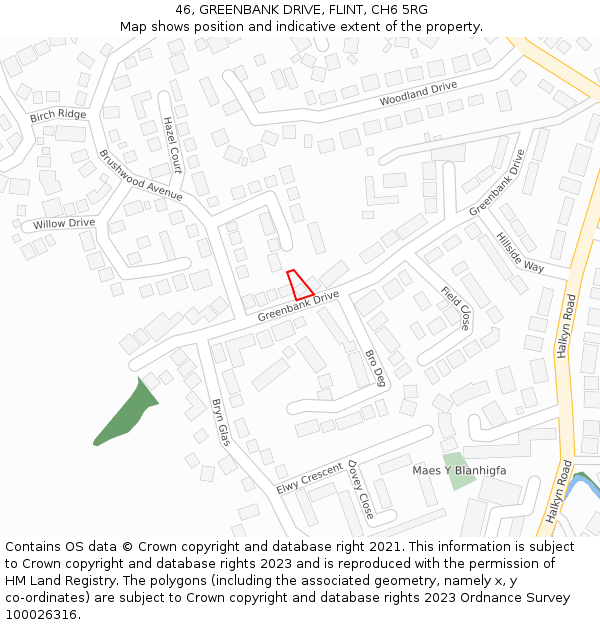 46, GREENBANK DRIVE, FLINT, CH6 5RG: Location map and indicative extent of plot