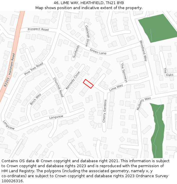 46, LIME WAY, HEATHFIELD, TN21 8YB: Location map and indicative extent of plot