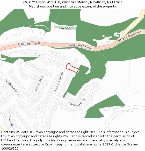 46, PLYNLIMON AVENUE, CROESPENMAEN, NEWPORT, NP11 3GR: Location map and indicative extent of plot