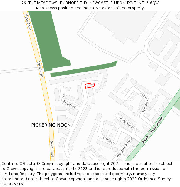 46, THE MEADOWS, BURNOPFIELD, NEWCASTLE UPON TYNE, NE16 6QW: Location map and indicative extent of plot