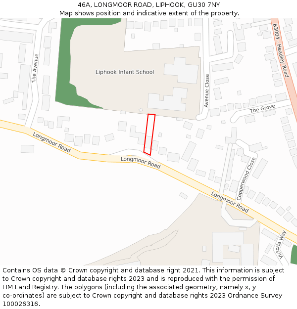 46A, LONGMOOR ROAD, LIPHOOK, GU30 7NY: Location map and indicative extent of plot