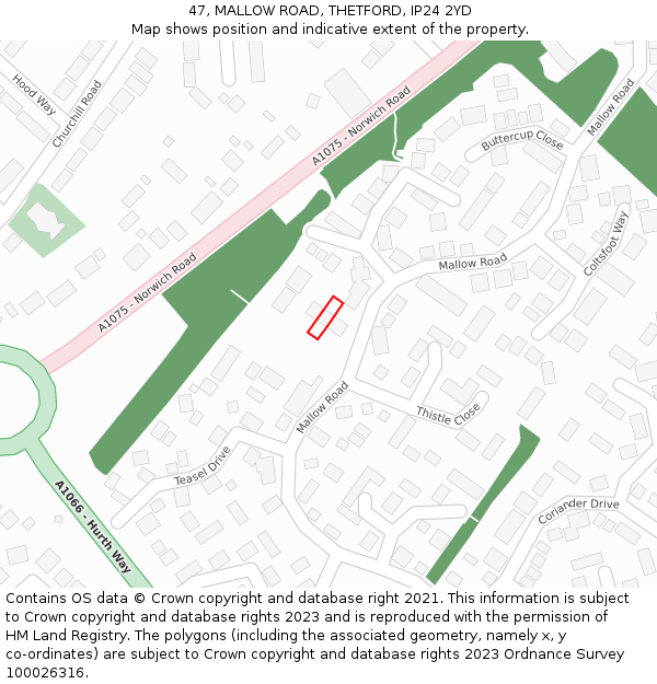 47, MALLOW ROAD, THETFORD, IP24 2YD: Location map and indicative extent of plot