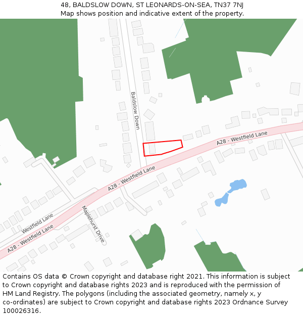 48, BALDSLOW DOWN, ST LEONARDS-ON-SEA, TN37 7NJ: Location map and indicative extent of plot