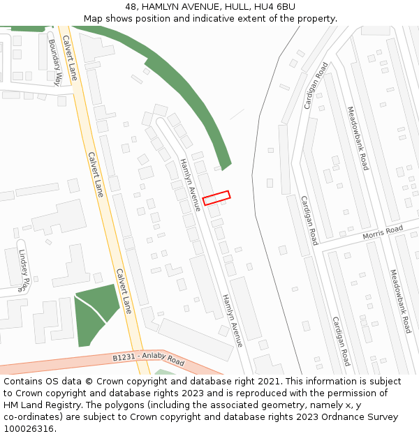 48, HAMLYN AVENUE, HULL, HU4 6BU: Location map and indicative extent of plot