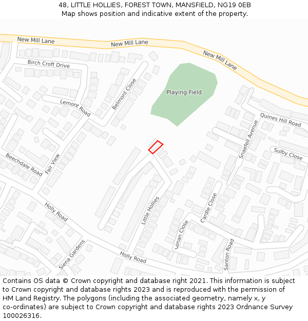 48, LITTLE HOLLIES, FOREST TOWN, MANSFIELD, NG19 0EB: Location map and indicative extent of plot