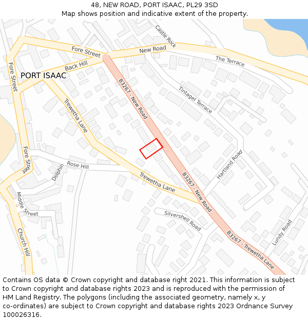 48, NEW ROAD, PORT ISAAC, PL29 3SD: Location map and indicative extent of plot