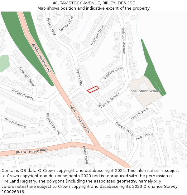 48, TAVISTOCK AVENUE, RIPLEY, DE5 3SE: Location map and indicative extent of plot