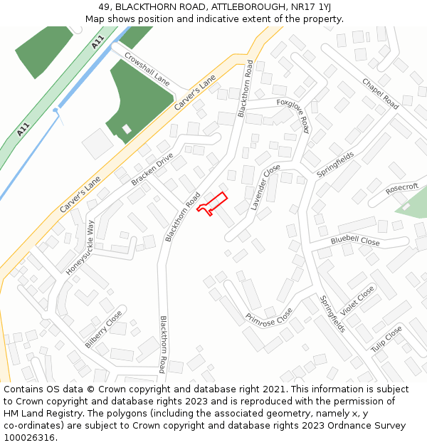 49, BLACKTHORN ROAD, ATTLEBOROUGH, NR17 1YJ: Location map and indicative extent of plot