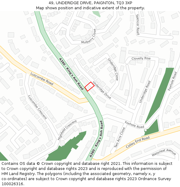 49, UNDERIDGE DRIVE, PAIGNTON, TQ3 3XP: Location map and indicative extent of plot