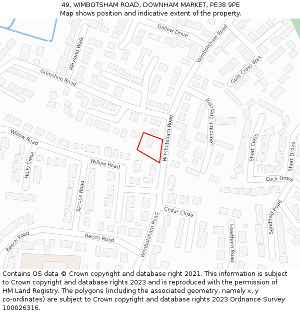 49, WIMBOTSHAM ROAD, DOWNHAM MARKET, PE38 9PE: Location map and indicative extent of plot
