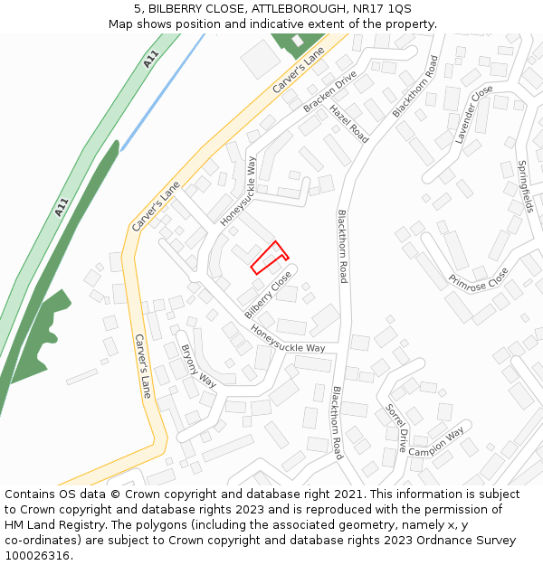5, BILBERRY CLOSE, ATTLEBOROUGH, NR17 1QS: Location map and indicative extent of plot