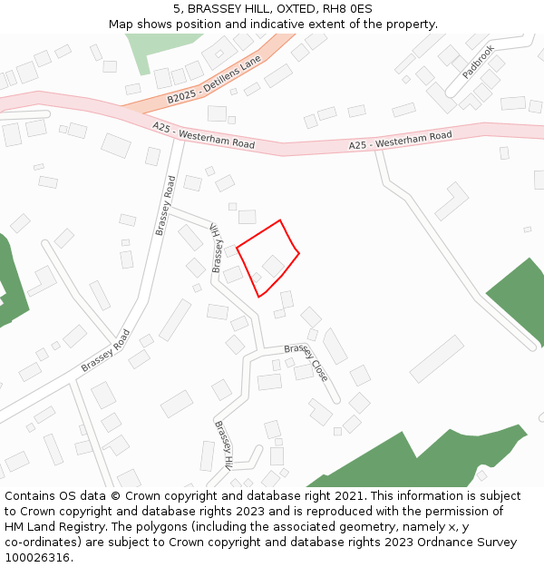5, BRASSEY HILL, OXTED, RH8 0ES: Location map and indicative extent of plot