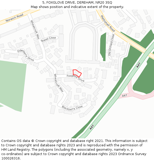 5, FOXGLOVE DRIVE, DEREHAM, NR20 3SQ: Location map and indicative extent of plot