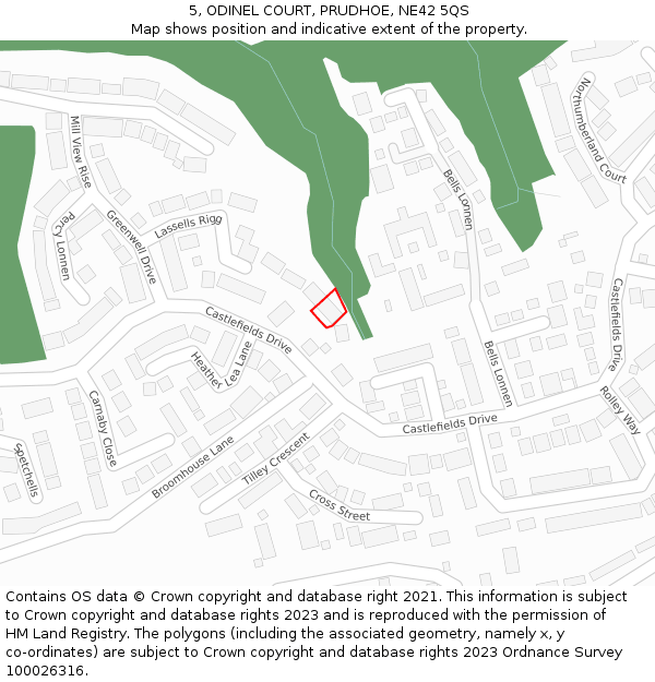 5, ODINEL COURT, PRUDHOE, NE42 5QS: Location map and indicative extent of plot