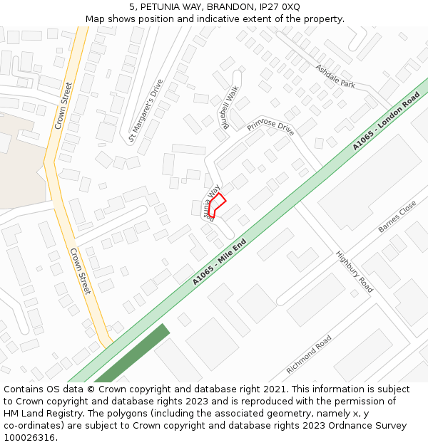 5, PETUNIA WAY, BRANDON, IP27 0XQ: Location map and indicative extent of plot