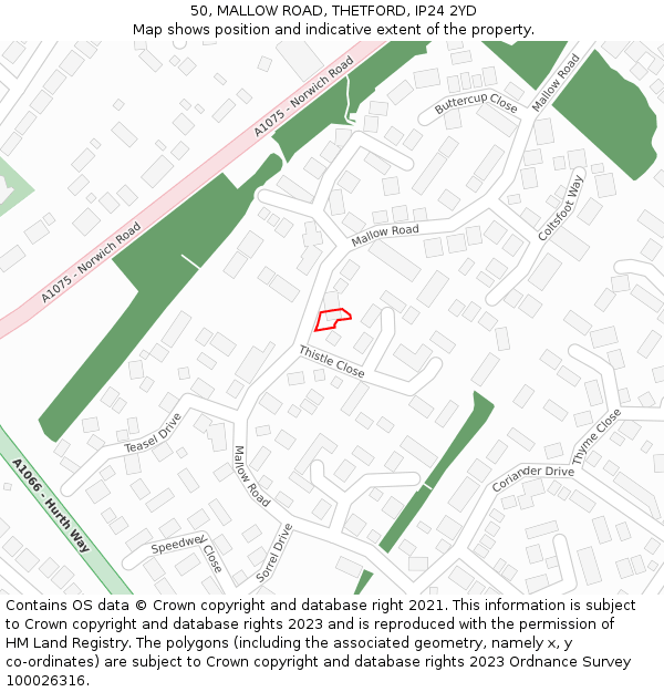 50, MALLOW ROAD, THETFORD, IP24 2YD: Location map and indicative extent of plot