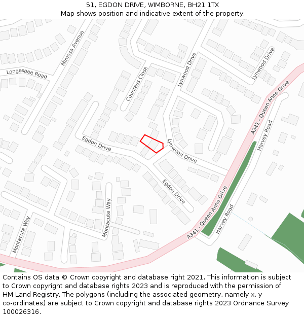 51, EGDON DRIVE, WIMBORNE, BH21 1TX: Location map and indicative extent of plot