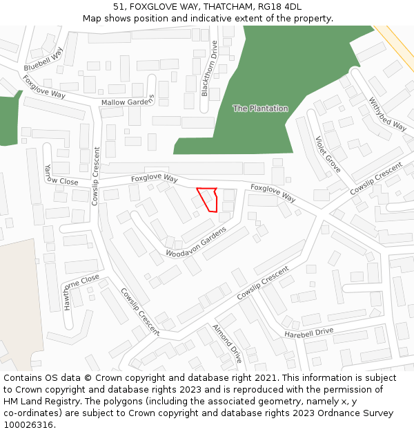 51, FOXGLOVE WAY, THATCHAM, RG18 4DL: Location map and indicative extent of plot