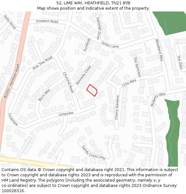 52, LIME WAY, HEATHFIELD, TN21 8YB: Location map and indicative extent of plot